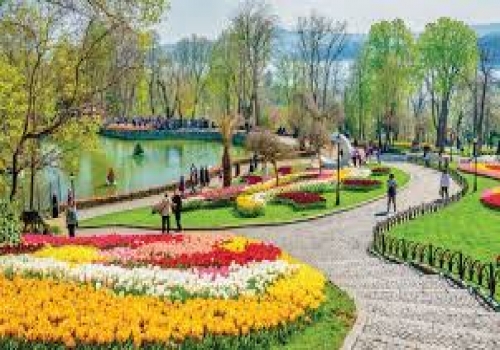 İSTANBUL LALE FESTİVALİ - TEKNE TURU 